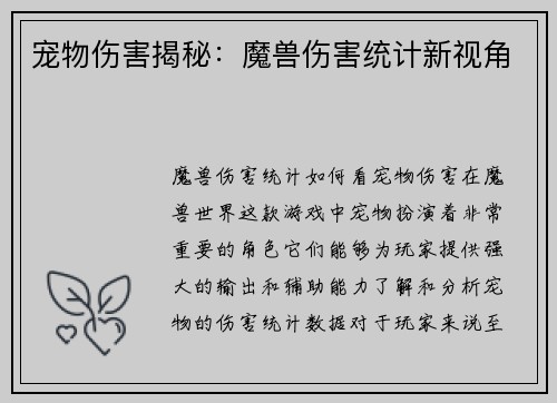 宠物伤害揭秘：魔兽伤害统计新视角
